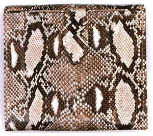 snakeskin-wallet-python-snakeskin